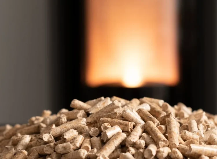 5-raisons-de-renoncer-au-poele-a-granules-pour-vous-chauffer-cet-hiver